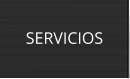 SERVICIOS